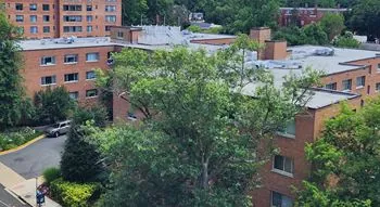 A classic exterior view of the 3900 Tunlaw Cooperative building in Washington, D.C.